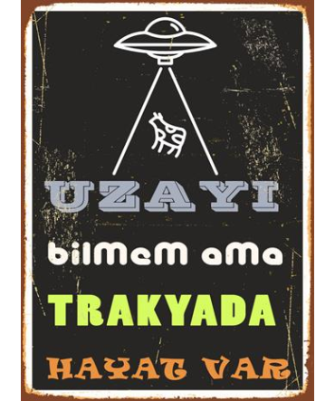 Trakya Tablosu 33 - Ahşap Retro Tablo