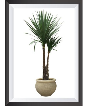 Tropik 24 - Ahşap Retro Tablo