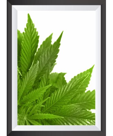 Tropik 30 - Ahşap Retro Tablo