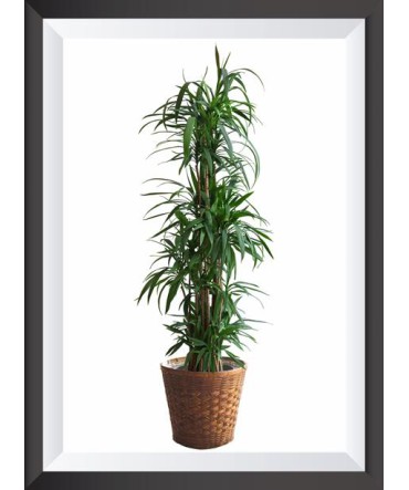 Tropik 31 - Ahşap Retro Tablo