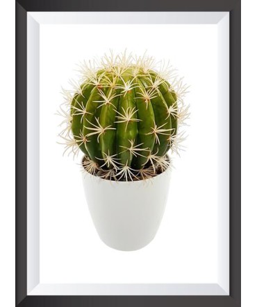 Tropik 5 - Ahşap Retro Tablo