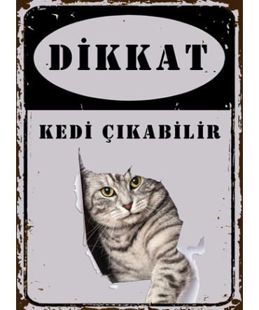 Türkçe Sözlü 13 - Ahşap Retro Tablo