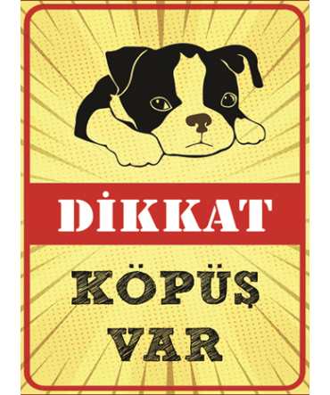 Türkçe Sözlü 37 - Ahşap Retro Tablo